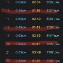 37기 사전훈련 2022.11.26(토) - 하늘공원 500m*12 이미지