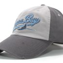 Tampa Bay Rays Nike Team Sports &#34;Gray Tailsweep&#34; 이미지