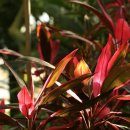 금강자연휴양림 이미지