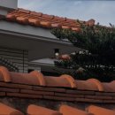 협재숲 | 제주도 민박 숙소 추천 협재숲 제주도 민박 숙소 협재숲, 따뜻한 자쿠지