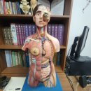 경희신창한의원 이미지