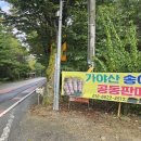 수륜면행정복지센터 이미지