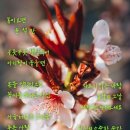 버스정류장 05-229 | 전주 경매1계 2023 타경 5132 (1) [답]