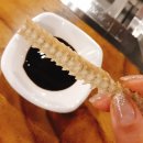힘쎈 대머리고창풍천장어 | 교대역장어 - 장어 1kg 이 가격 실화임? 힘쎈대머리 고창풍천장어
