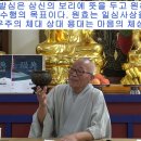 백송정목스님특강 정토의세계관1 불교 세계관의 발전적 해석 이미지
