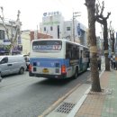 삼성여객㈜ 이미지