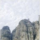 백설에듀빌 공인중개사사무소 | 거제도 가족여행-외도 보타니아