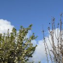 올프레스커피 이미지