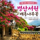 자동서원 | 8월 안동 가볼만한곳 당일치기 후기 병산서원 배롱나무꽃 봉정사 호계서원 안동구시장 로망스투어