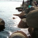 오로지생돈 이미지