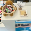 [구미] 형곡동 &#34;오에그&#34; 도시락 케이크 후기-도시락 케이크 디자인 추천