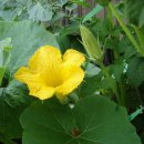 호박PC방 이미지