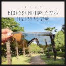 가성비와 성능을 다 잡은 올인원 스포츠고글 바야스던 솔직후기