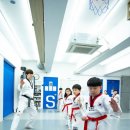 용인대 시선 태권도장 이미지