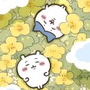 강아지와 나 네이버블로그