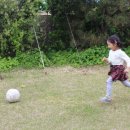 고성버드리민박 이미지