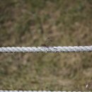 연천신답리고분 이미지