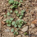 금봉산 농장 이미지