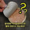 참치캔 먹을때 주의할 점 이미지