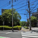 카페블랑(CAFE BLANC) 이미지