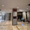 더라운지앤드바 | 롯데호텔부산 더라운지 앤 바 딸기뷔페 솔직후기