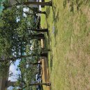 메디팜요양병원 이미지