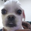 마장로1번길 | [국내 여행] 대전 당일치기, 야구 직관+하루 여행