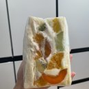 살구상점