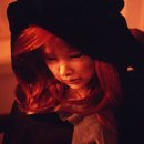 인형의 거리(말) 이미지