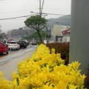 김희성 농장 이미지