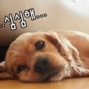 어라