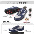 슈올즈원주