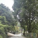 바글 | 안성글램핑 캠핑장, 너리굴문화마을 캠핑바글 솔직후기
