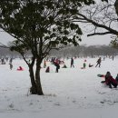 제주대학교 이미지