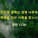 이초석: 교회신문 ＞ 제 1290호 밑반찬이 좋아야 밥맛이 좋다 (왕상10:1~12) 이미지