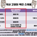 늘픔온누리약국 이미지