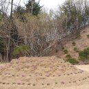 나남수목원(책박물관) 이미지