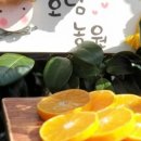 제주호담농원 이미지