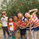 다인농장 이미지