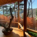 산청전통한방휴양관광지 | 산청전통한방휴양관광지 체험 후기: 한국 전통 휴식의 즐거움
