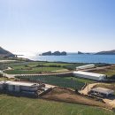 스테이올라 이미지