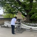 로이애견 이미지