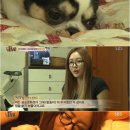 와와농장 이미지