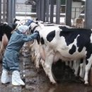 경기도 북부동물위생시험소 이미지