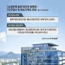 24.11.20 영끌들의 몰락..2025년 대출 1금융권 주택담보 대출 50% 축소 발표.서울 마피 아파트 등장 서울 아파트 지옥 이미지