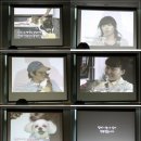 행복을다리는집 이미지