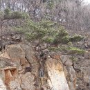 2015년 2월 14일 제17차 산행 인천 무의도 국사봉 호룡곡산을 다녀와서 이미지