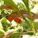 칠보중학교 이미지