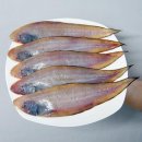 서대 이미지