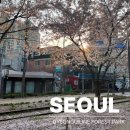 철길건널목 ~ 신촌삼거리 | 홍대 신촌 가볼만한곳 경의선 숲길 책거리 벚꽃명소 야장 데이트코스 추천